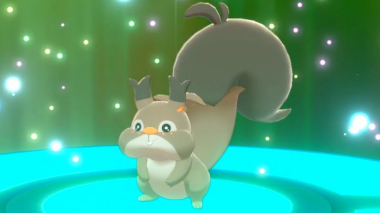 "CHEEKERS" Unique Skwovet Trade Motostoke Location Pokemon Sword