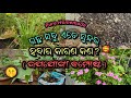 Mo bagicha ra gacha sabu ate sundar habar karan kan..?? 🌱😱👈