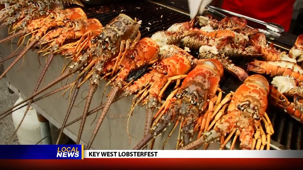 Key West Lobster Festival Local News YouTube