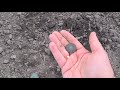 Разведка Нового для меня места.  Minelab EQUINOX 800 как всегда не подкачал!