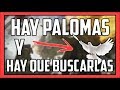 Hay palomas y hay que buscarlas  battlefield 1  juditgamer