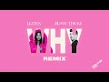 Lizzen x robin thicke  why remix official visualizer