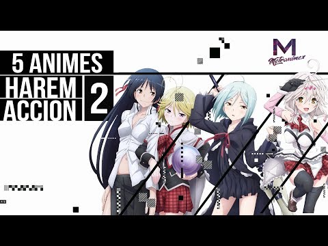 5 Animes Harem Y Accion 2