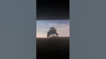 سورة آل عمران|30|القارئ:#محمد_اللحيدان #قران #quran #راحة_نفسية #قران_كريم #تلاوة_هادئة #تلاوة_خاشعة
