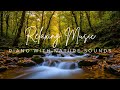 Relaxing piano music   nature sounds  stress relief deep sleep anxiety  depression heal mind