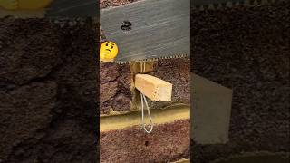 amazing master tricks.#master #tricks #tips #art #lifehacks #lifestyle #creative #shorts