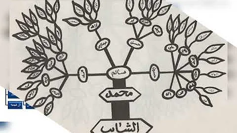 تحميل نسب عاءلة شتا Mp4 Mp3
