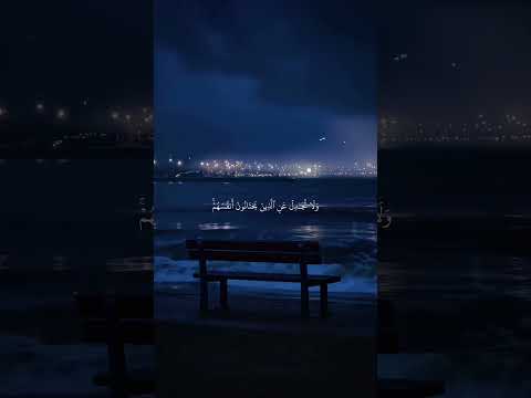 قرآن كريم بصوت القارئ ياسر الدوسري حالات قرآن كريم Quran Status 