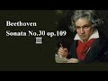 ベートーヴェン ピアノ・ソナタ 第30番 ホ長調 作品109 バックハウス Beethoven Piano Sonata No.30 E-dur