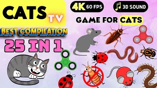 CATS TV - 25 IN 1 😻🪳 BEST Games Compilation For Cats 🐭🕷️🪰 4K [Cats TV] 3 Hours