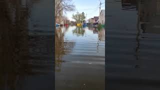Оренбург Второй Потоп, Разлив Сакмары, Ренда