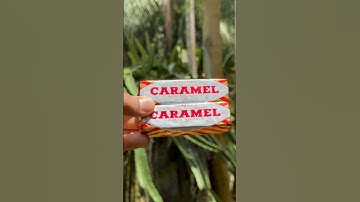 Imported CARAMEL Chocolate #shorts #short #youtubeshorts #food #ytshorts #m4tech #sufailsvibes