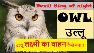 Owl -Devil king of Night : उल्लू लक्ष्मी का वाहन कैसे बना ? A-z information #himachal #wildlife