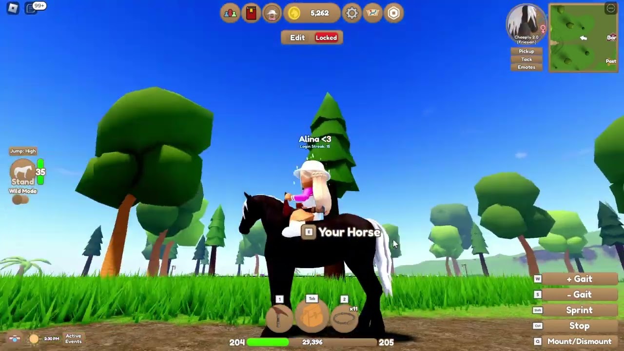 Ich zeige euch meine Pferde in Wild Horse Islands! || [Deutsch/HD]