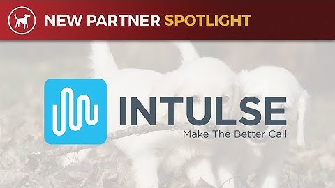 New Partner Spotlight: Intulse