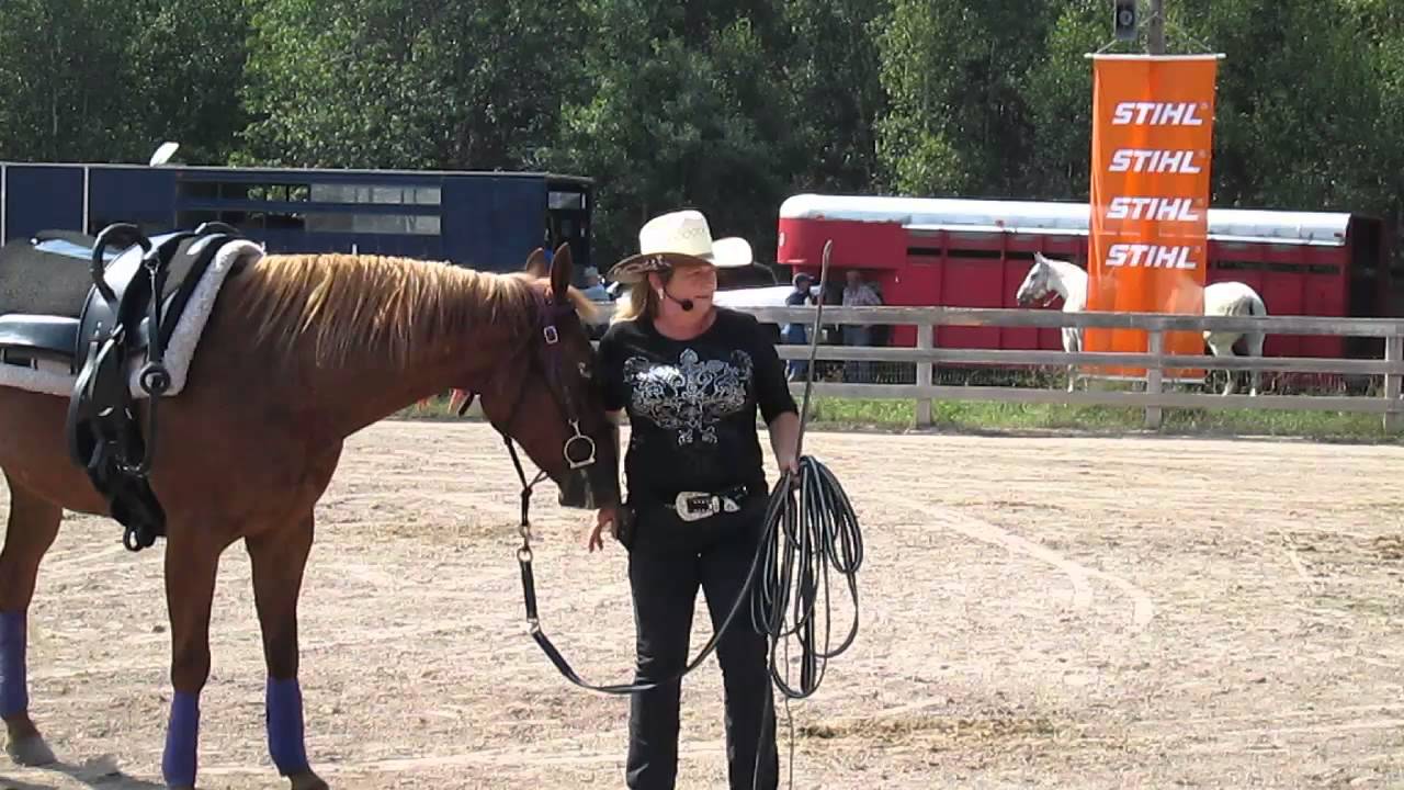 Broadleaf Guest Ranch , Broadleaf Ranch / #ExploreNB / Tourism New ...
