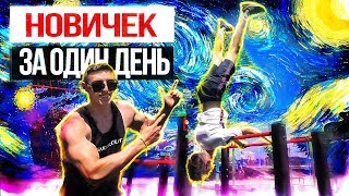 Что может выучить новичок за один день | Workout | #3