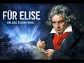 Für Elise | Melodic Techno Remix