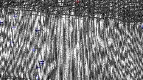Realtime febric defect detection and defect % calculation on febric inspection table
