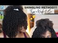 Trying the Shingling Method for my Wash & Go! More Definition??? 🤔 | Dense Type 4 Hair