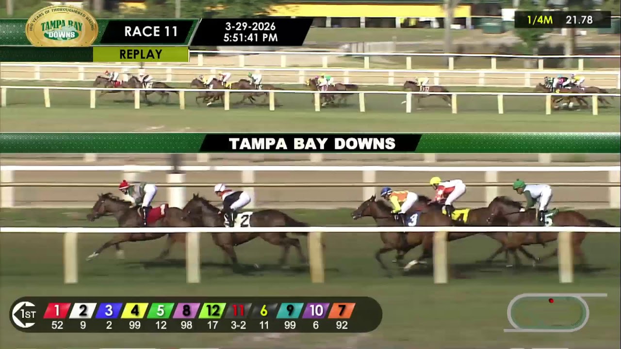 Tampa Bay Downs Live Stream