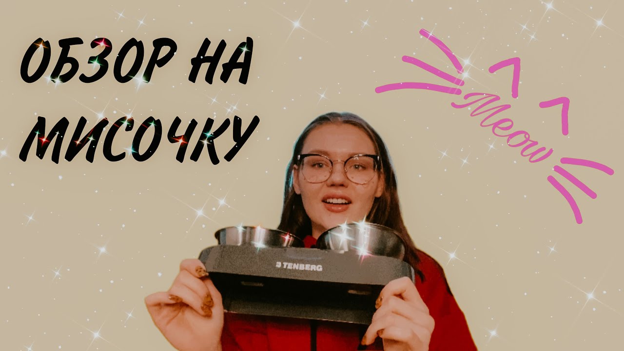 ОБЗОР НА ДВОЙНУЮ МИСКУ ДЛЯ КОШЕК НА ПОДСТАВКЕ