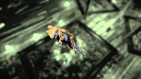 Layers of Fear Full Release Part 7 - Pitfall (FINAL)