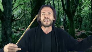 When Harry Potter defeats a Death Eater