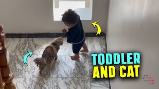 Watchful Cat Blocks Toddler From Climbing Window Ledge