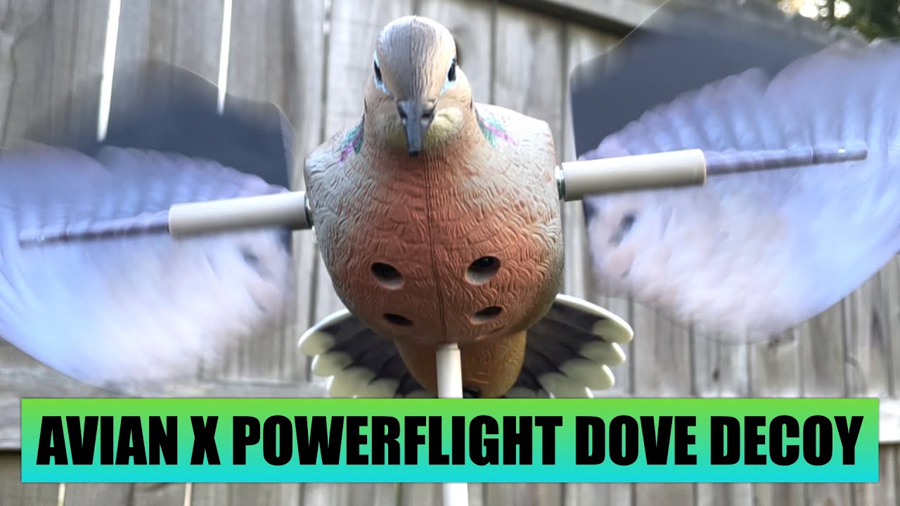 Avian X Powerflight Dove Decoy | UNBOXING & REVIEW! 1st LOOK! - YouTube