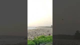 Ixtapilla en el municipio de Aquila Michoacán!! Arribacion de Tortugas!!COMPARTAN!!!#aquila