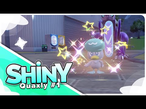 [Live] Shiny Quaxly #1 in 455 Eggs via Masuda Method!