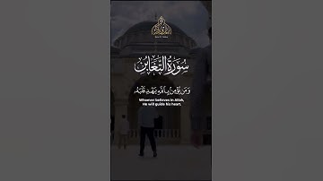 حالات واتس اب قران كريم - ما أصاب من مصيبة إلا بإذن الله -القارئ علاء عقل