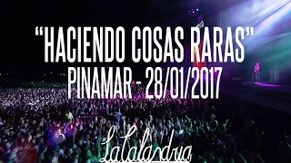 DIVIDIDOS - Haciendo Cosas Raras. Pinamar 28/01/2017 chords