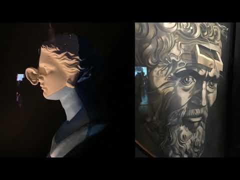 Wideo: Muzeum Salvadora Dali z dziećmi w Petersburgu, Floryda