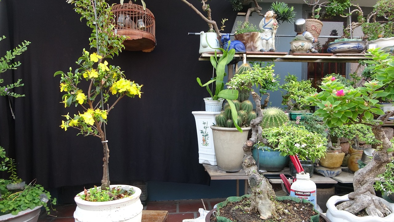 MAI NGŨ PHÚC LÁ SIÊU NHỎ ...BẠN CÓ CHƯA ?