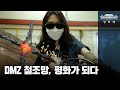 DMZ 철조망, 평화가 되다