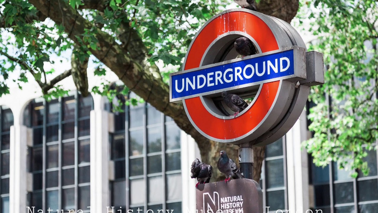 London, GBENG YouTube