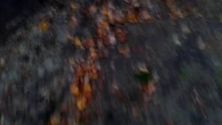 Rc Baan Tijdens Herfts Goed Terijn Voor Nikko