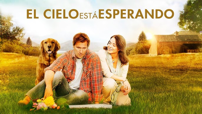 Qué esperar cuando estás esperando - Películas en Google Play