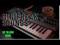 New arturia minifreak  no talking  just presets demo