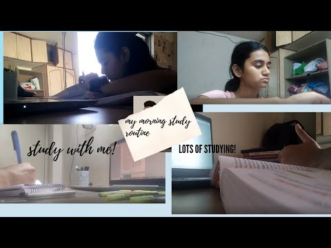 MY MORNING  STUDY ROUTINE | CLASS 12 BOARDS 2021 | The Boss Lady