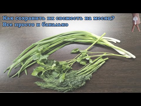 Как сохранить свежесть зелени на месяц? Все просто и банально