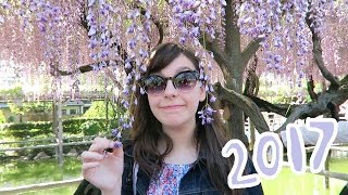 🌼 Kameido Wisteria Festival 🌼 by Beffinee 1,827 views 7 years ago 2 minutes, 49 seconds