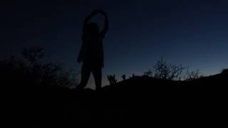 Ariana Grande – Into You (3LAU Remix) (Dance Cover)
