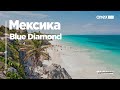 Мексика 2021. BLue Diamond