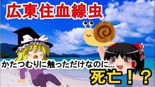 沖縄の〇〇を１度でも絶対に触ってはいけないワケ【広東住血線虫】【ゆっくり解説】