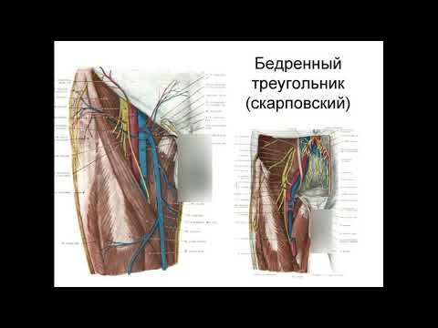 ПУНКЦИЯ БЕДРЕННОЙ ВЕНЫ ГКССМП АБАКАН