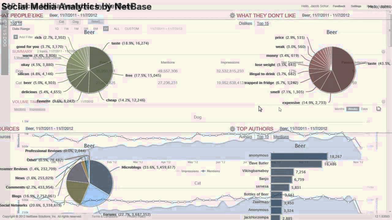 SAP Social Media Analytics by NetBase - YouTube