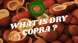 what is dry copra ? and its uses #coconut #coconutcompany #kcc